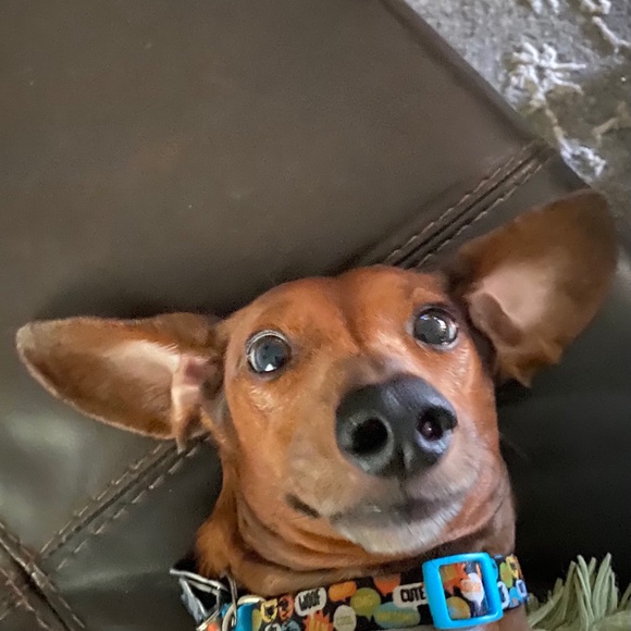 Meet your Posher, Catherine - Picture 2 of 8